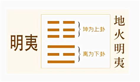 地火明夷卦|地火明夷卦爻辞原文译文注释详解，周易地火明夷卦辞爻辞解读